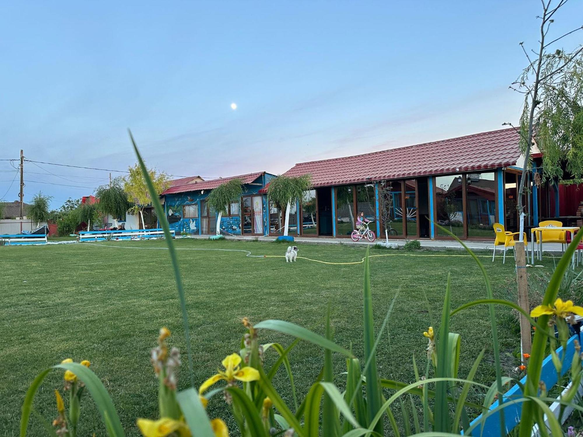 Pensiunea Alessia Murighiol Exterior photo
